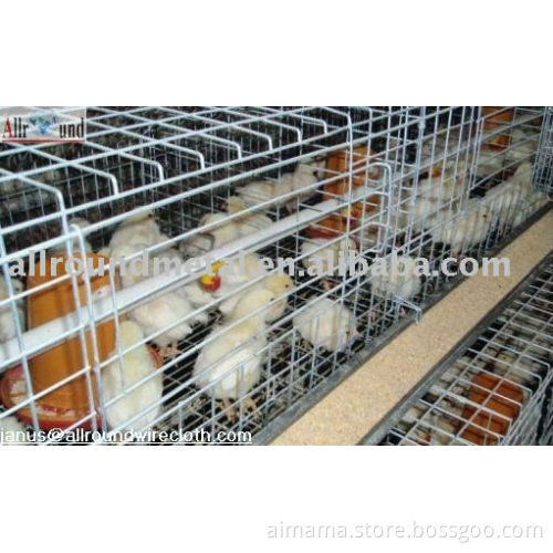 Automaitc chicken broiler cage